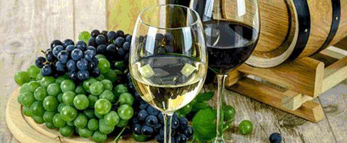Vins bio et naturels