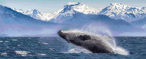 Alaska
