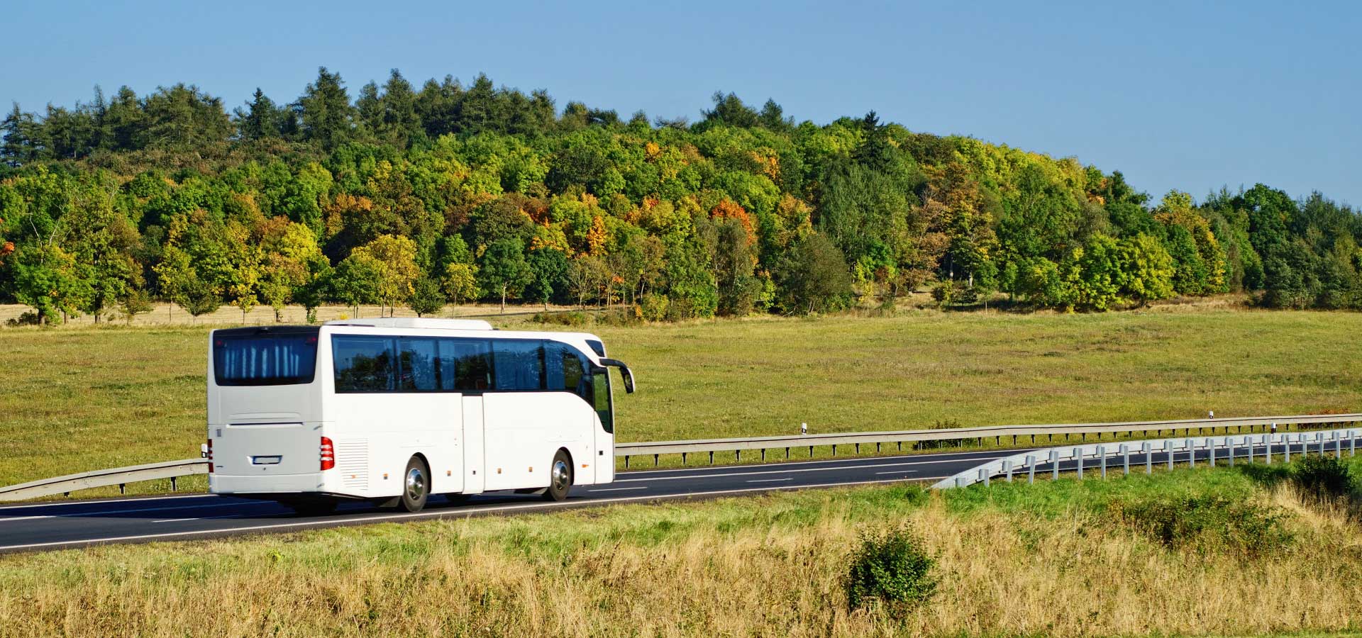 L'autocar, le bus, le minibus, c'est plus écologique !
