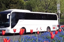 Free Dôme Évasion - Puy-de-Dôme