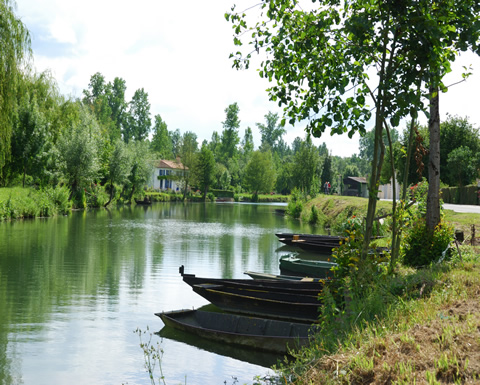 Image de la ville de Niort